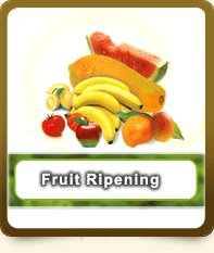 fruit processing equipments